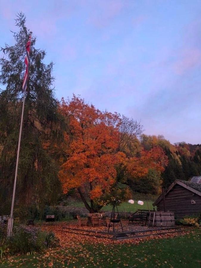 Skjeggestad Gjestehus Ringebu Exteriör bild